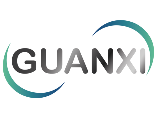 Guanxi